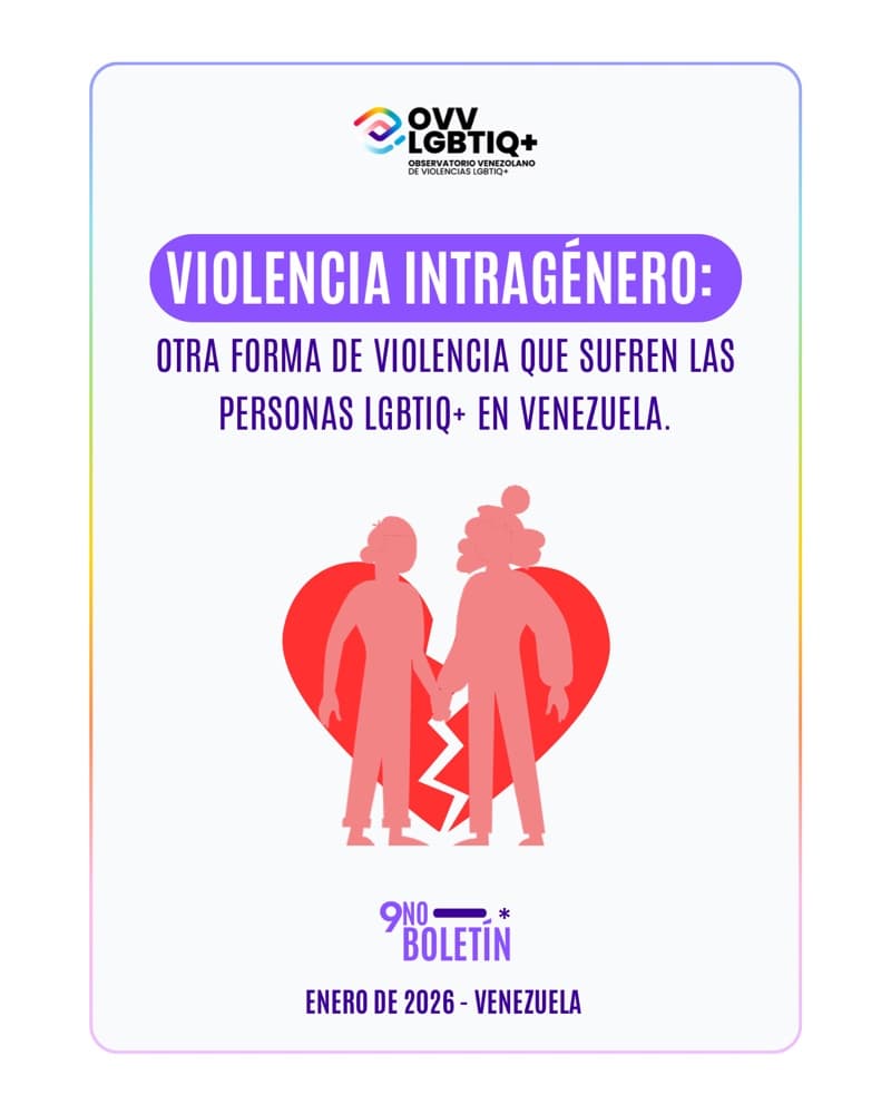 Portada · 9.º Boletín · Violencia intragénero